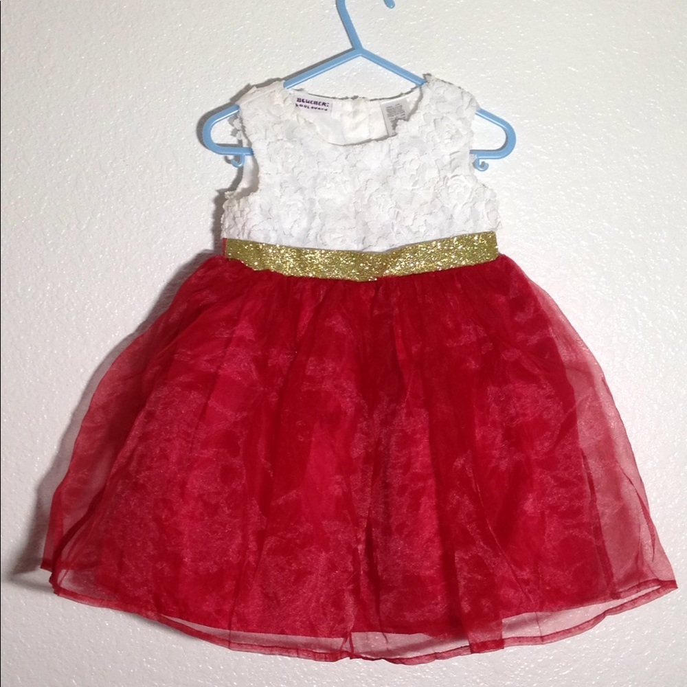 FINAL MARKDOWN Little Girl's Blueberi Boulevard Party Dress 24m